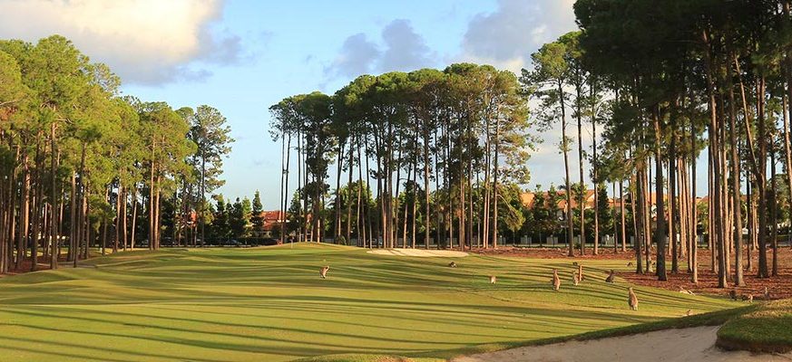 Sanctuary Cove Golf and Country Club, The Pines Course
