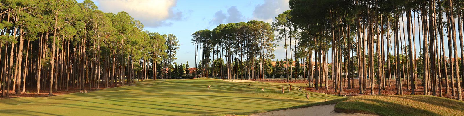 Sanctuary Cove Golf and Country Club, The Pines Course