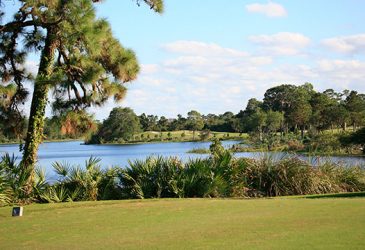 11 Things You Should Know When Buying a Golf Home in Harbour Ridge Yacht and Country Club, FL