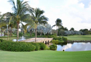 10 Things You Need to Know Before Buying A House in Boca Grove Golf and Tennis Club