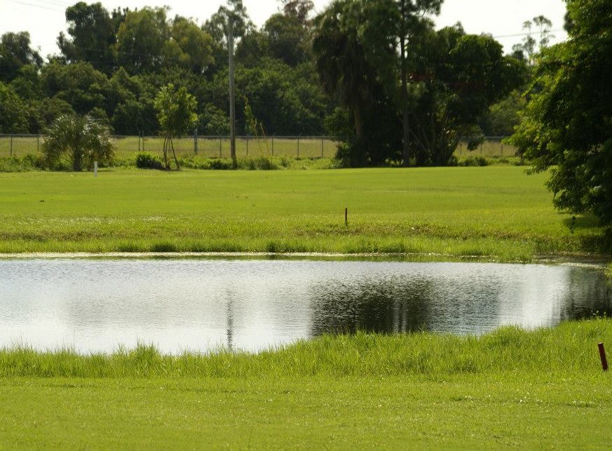 there are a lake and lot of trees on the golf course