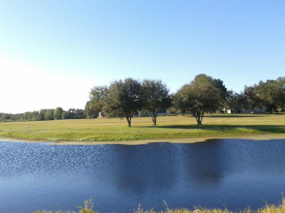 There is a lake and a lot of trees on the golf course