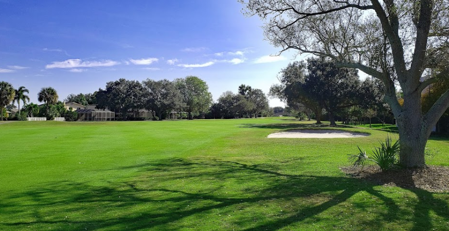 lot of trees on the golf course - Seminole Lake Country Club