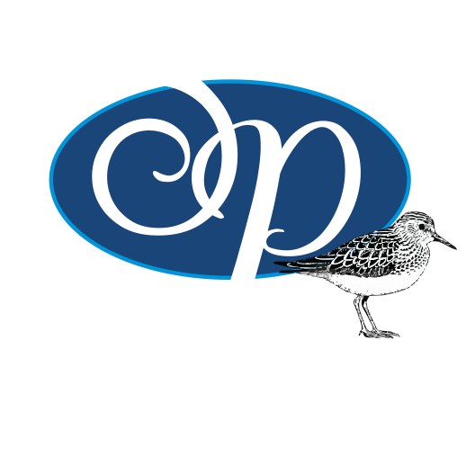The Links of Sandpiper Logo