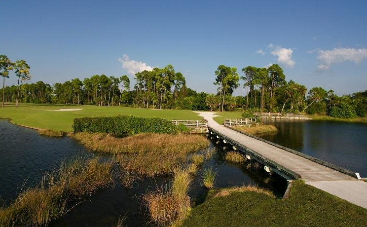 On the golf course, there is a lake with a bridge and a lot of trees