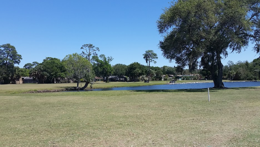 There is a lake, a lot of homes, and trees on the golf course - Tides Golf Club