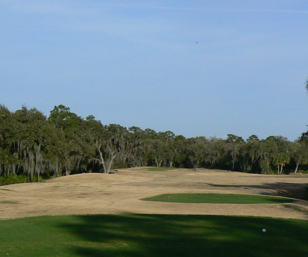 lot of trees on the golf course