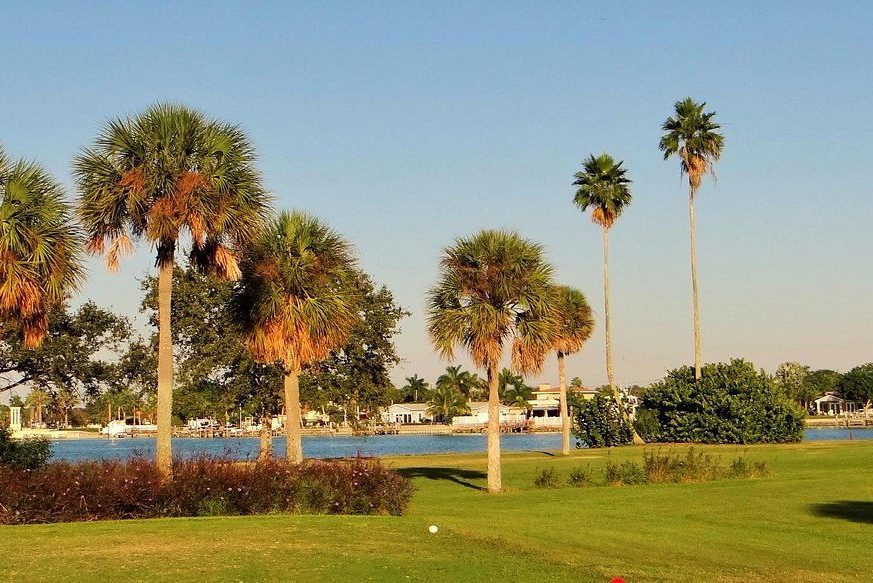There are many houses and trees, and there is also a lake - Treasure Bay Golf and Tennis