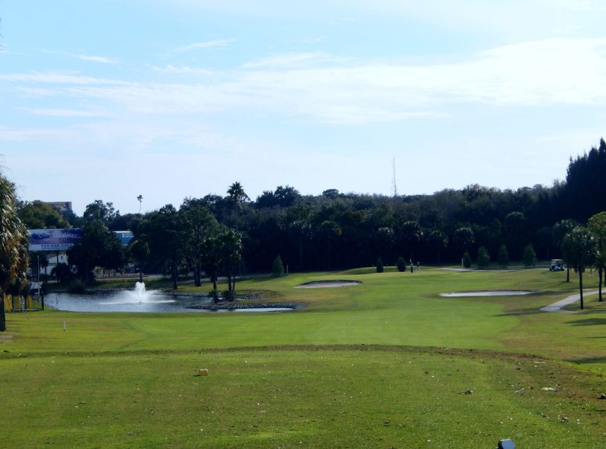 There is a lake with a fountain and a golf club on the golf course - Tarpon Springs Golf Course