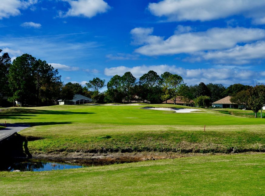 There are many homes on the golf course, as well as trees - The Country Club of Mount Dora
