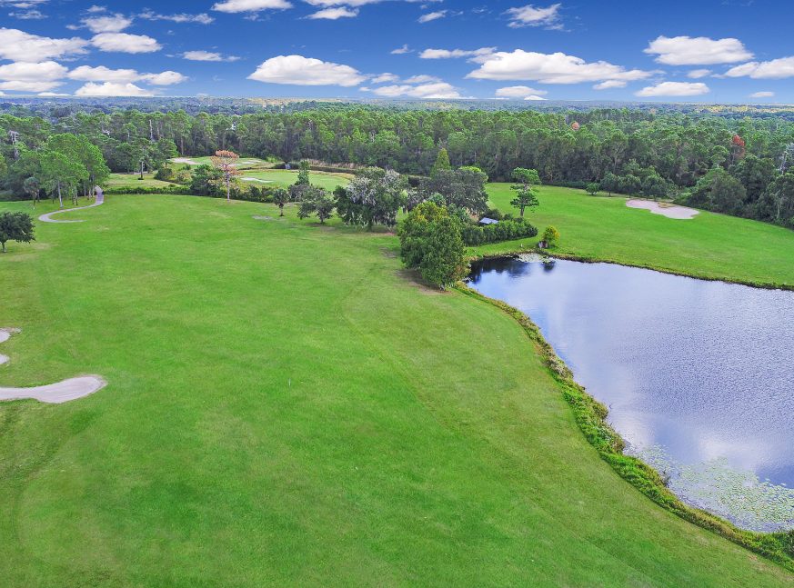 a breathtaking view of the Mt Dora Country Club