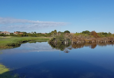 There is a large lake, a lot of trees, and a golf club on the golf course - Bayou Club