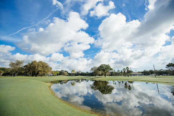 There is a lake, as well as many homes and trees, on the golf course - Twin Brooks Golf
