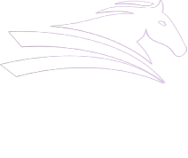 The Club at Cheval logo