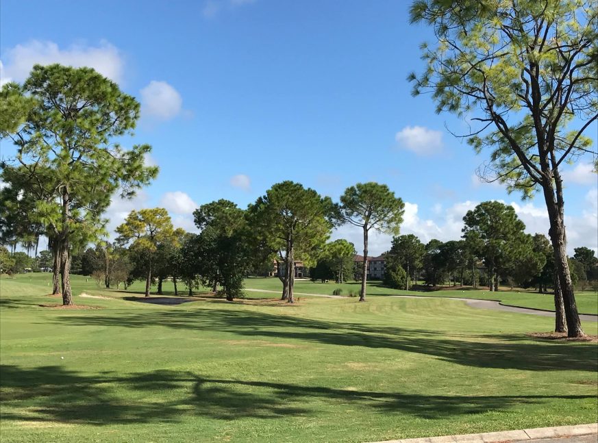 In the golf course, there are many houses and trees. - Hunters Creek Golf Club at Orlando