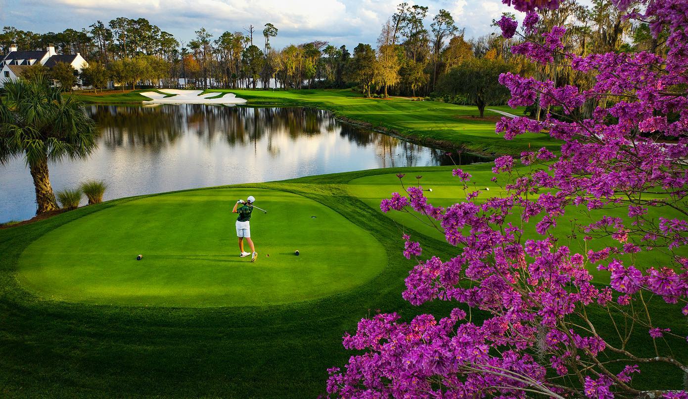 Lakes and flowers surrounded by trees, with one golfer on the course