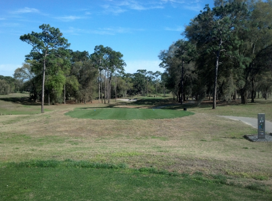 numerous trees surround the golf course