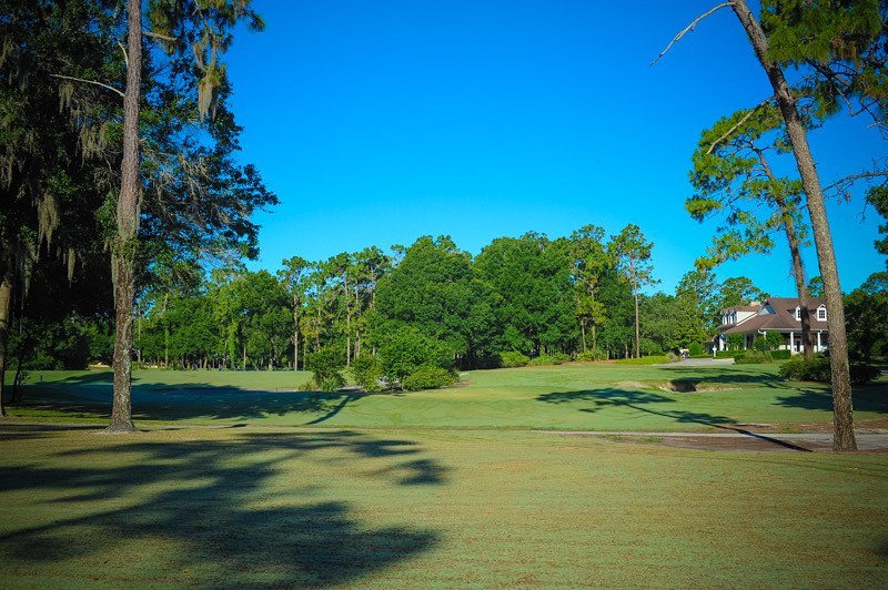 Many trees surround the golf course.