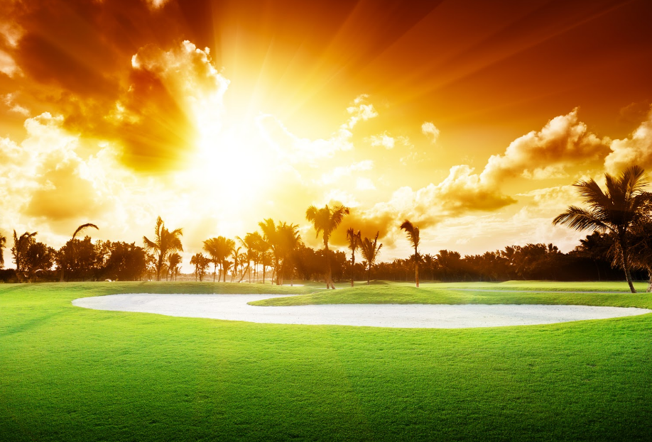 The golf course has a dazzling sun view and a lot of trees