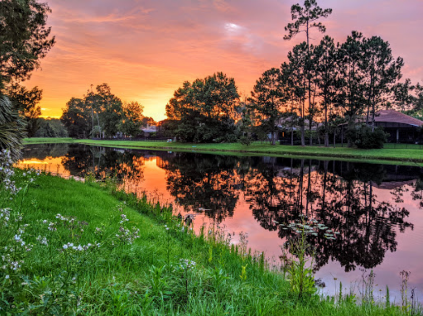 The golf course has a lake and many trees with a sunset view - Magnolia Plantation
