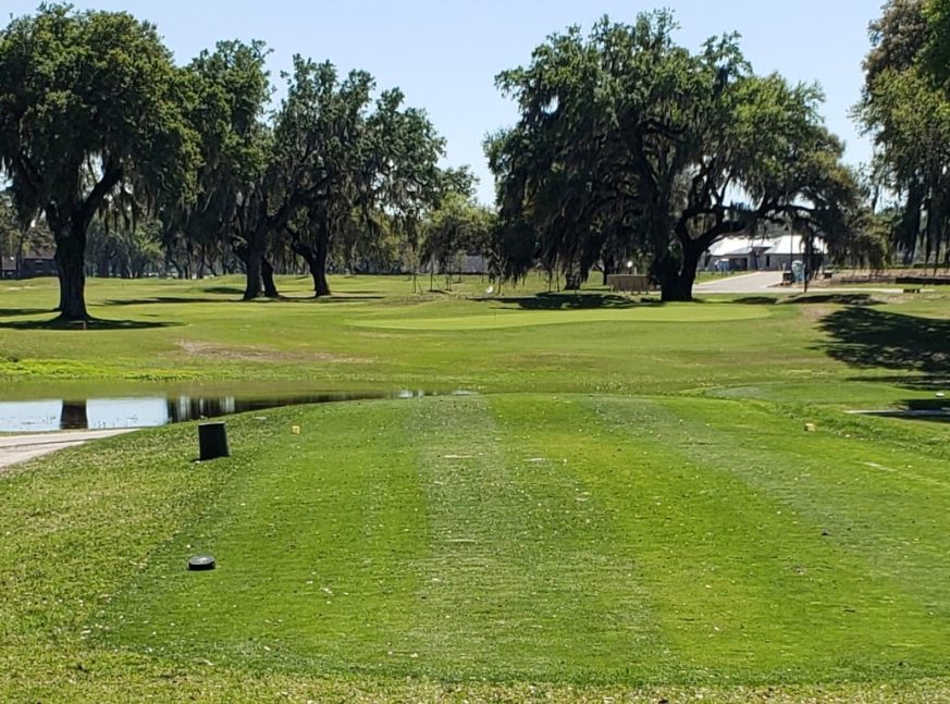 In the golf course, there are many trees and a lake - Silverado Golf and Country Club