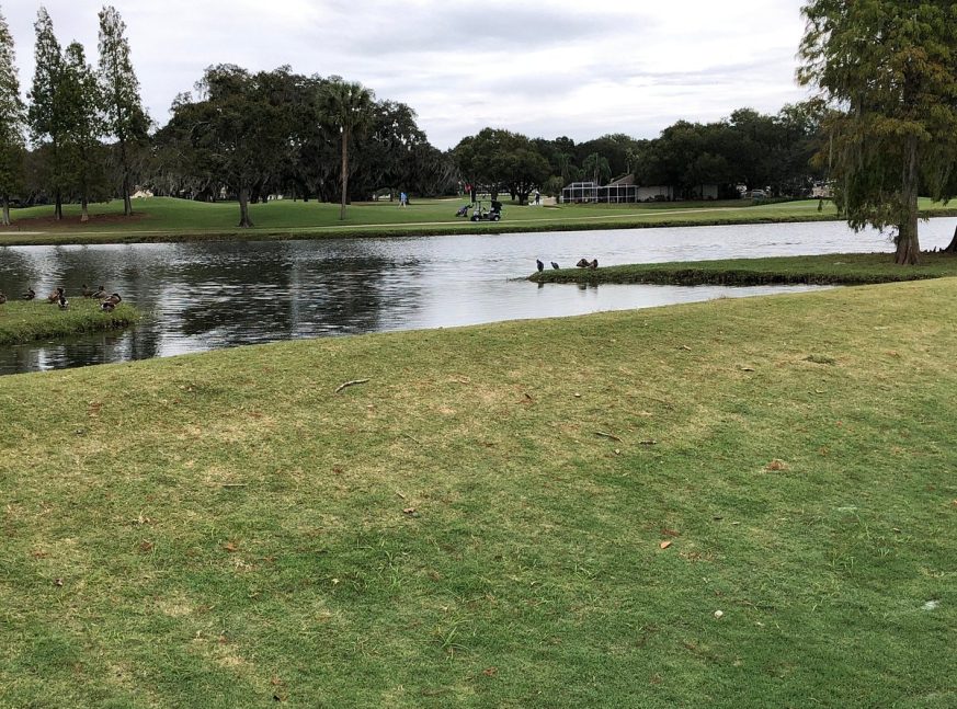 there are a lake on the golf course - Buckhorn Springs Golf & Country Club