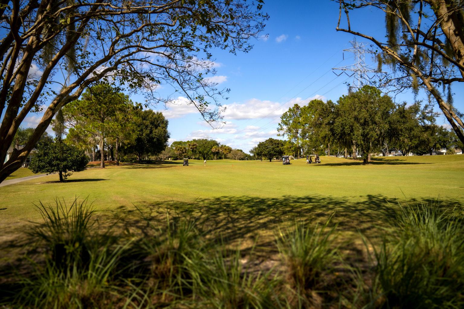 There are many golf carts and trees on the golf course - Del La Vista Executive Golf Course