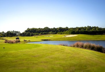 Mangrove Executive Golf Course