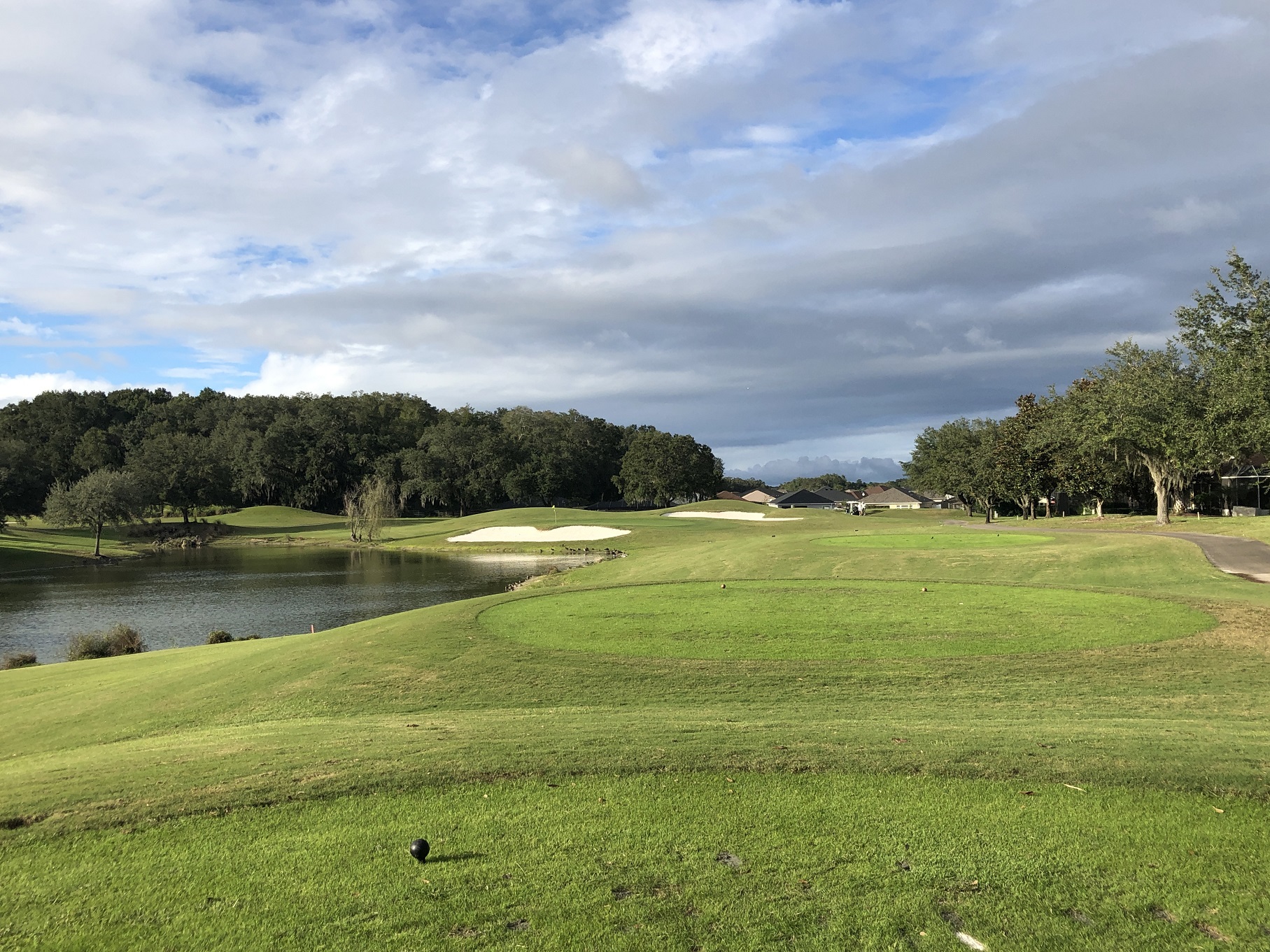 numerous trees and a lake on the golf course