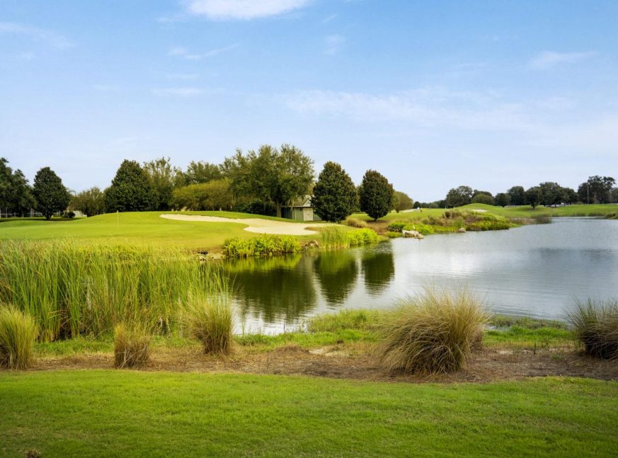 there are a lake and a lot of trees on the golf course - Hawkes Bay Executive Golf Course