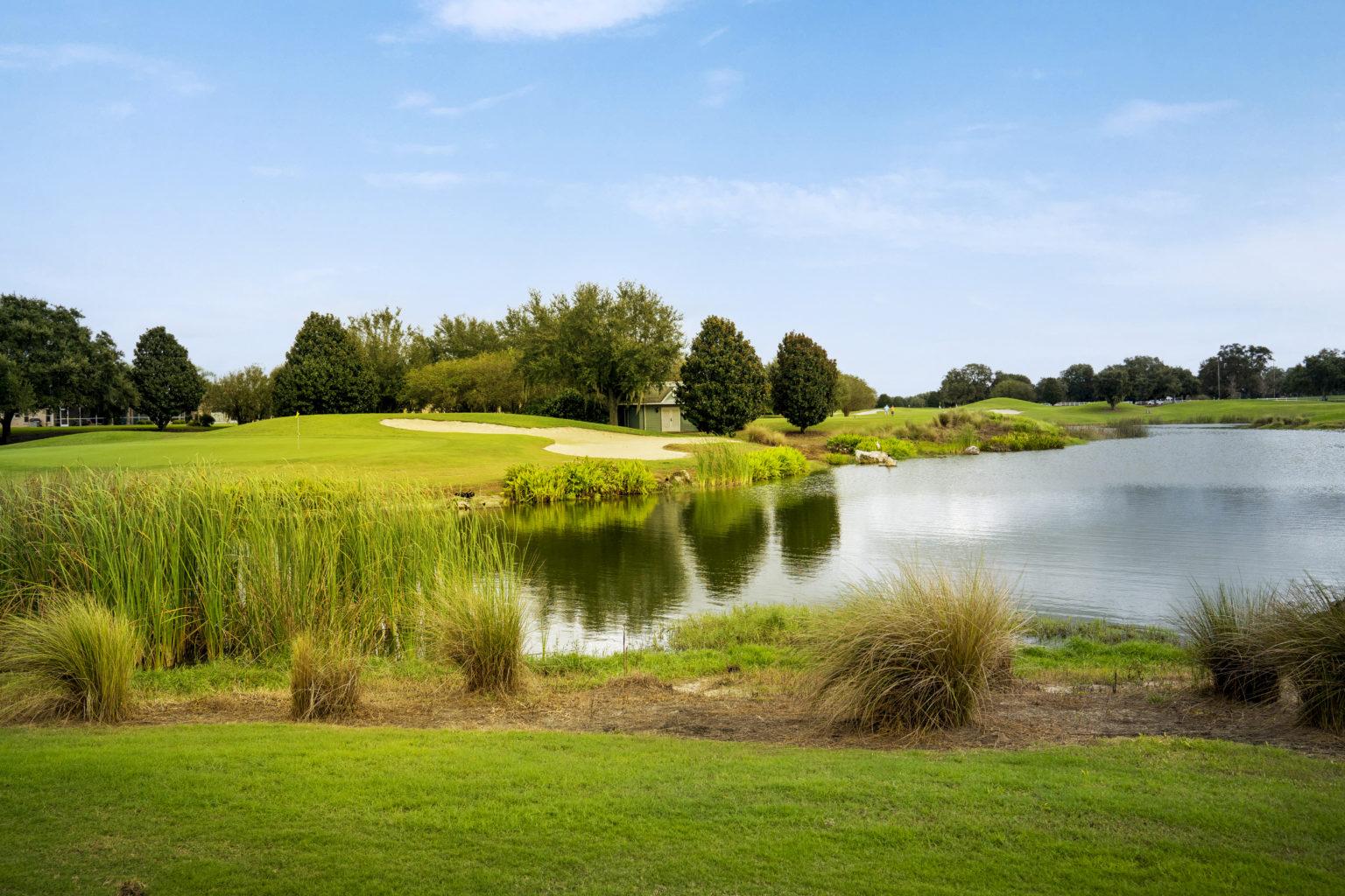 there are a lake and a lot of trees on the golf course - Hawkes Bay Executive Golf Course