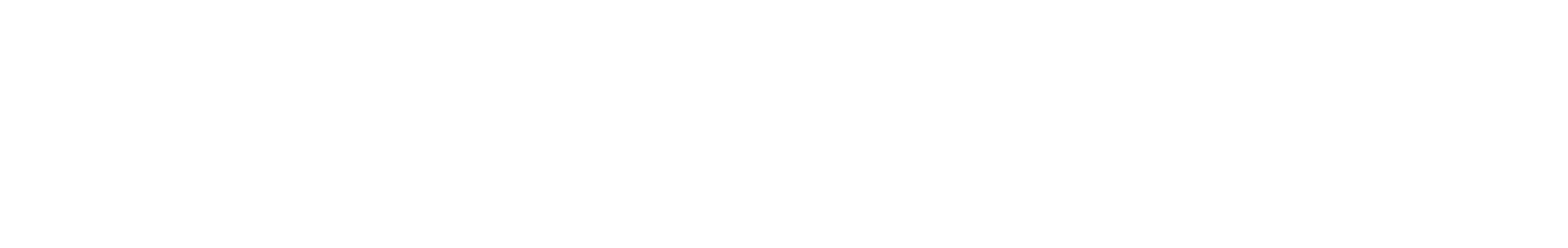 Panther National Company Logo