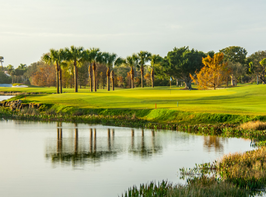 Lake and coconut in golf course - Cypress Lake Golf Club