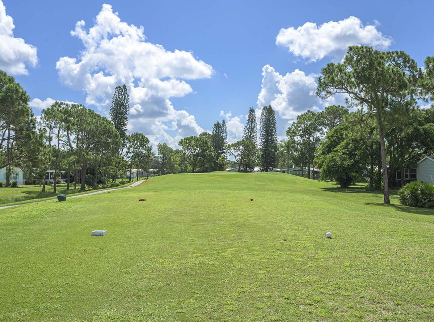 Many trees in golf course