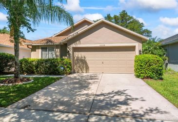 Golf Home -  18122 Canal Pointe Street, Tampa, Fl 18122 Canal Pointe Street, Tampa, Fl