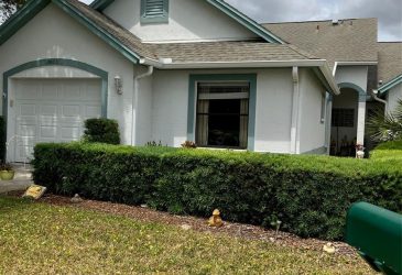 Golf Home - 3603 /  3603 Downfield Place, New Port Richey, Fl3603 /  3603 Downfield Place, New Port Richey, Fl