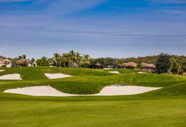 Golf course with homes - The Plantation Golf and Country Club