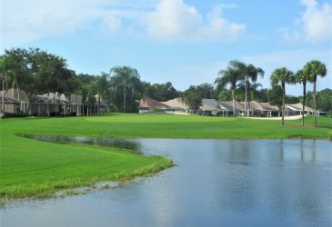 Golf course with homes and lake - The Villages at Country Creek