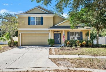 Golf Home -  11701 Colony Lakes Boulevard, New Port Richey, Fl 11701 Colony Lakes Boulevard, New Port Richey, Fl