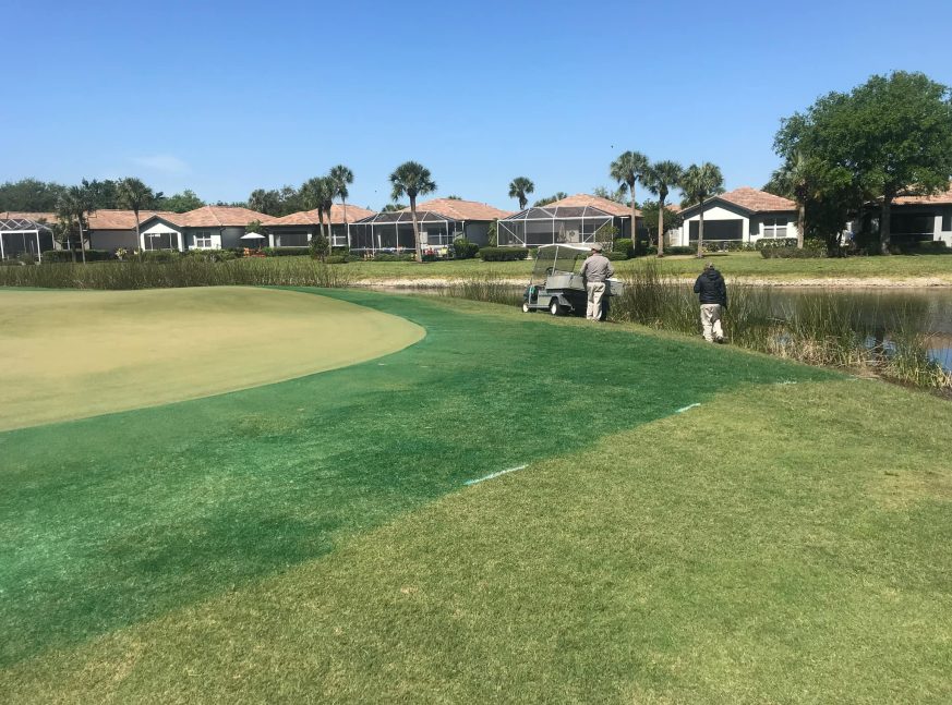 Homes with golfers in golf course - Pelican Preserve