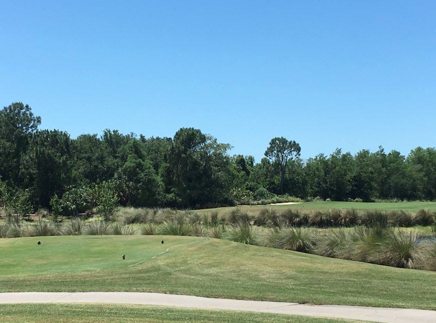 Trees surrounded the golf course - Glen Eagle Golf and Country Club