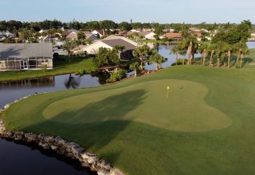 Golf course with homes and lake - Lely Country Club
