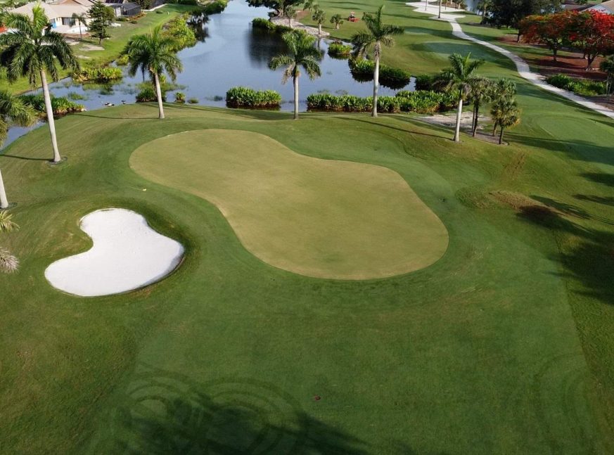 Golf course surrounded with trees and lake - Royal Palm Golf Club