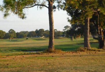Golf Home -  0 Whispering Oaks Blvd., Dade City, Fl 0 Whispering Oaks Blvd., Dade City, Fl