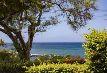 Golf Home - K B M Resorts: Napili Point NAP-A25, Stunning Ocean Front Villa, Turtle Views, Includes Rental Car!